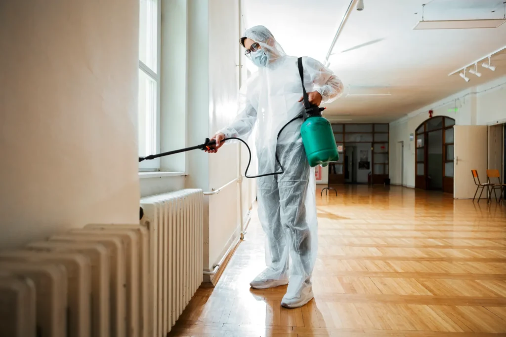 How Our Process Works - Maywood Best Pest Pros | Maywood, CA